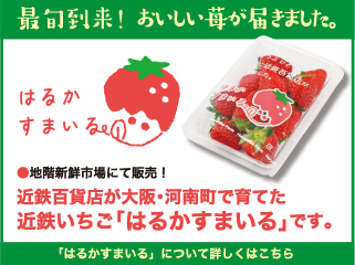 ͂邩܂
